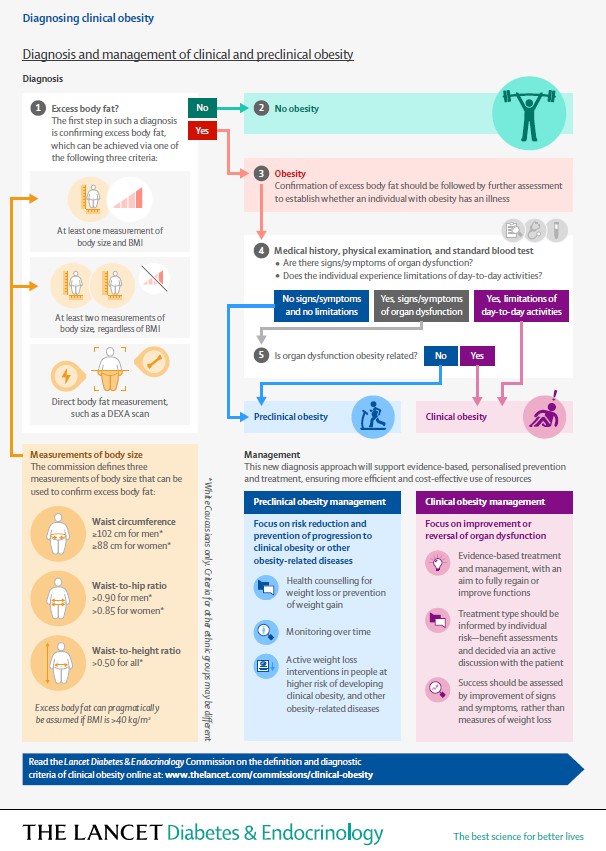 obesity infographic