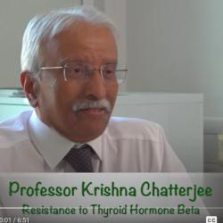 screen shot from Krish Chatterjee video