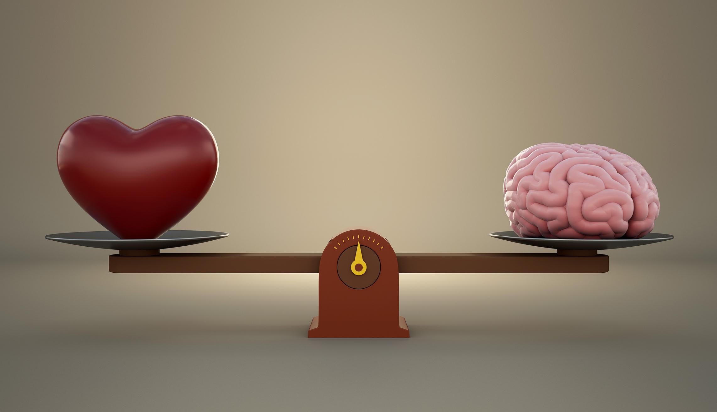 photo of the brain and the heart